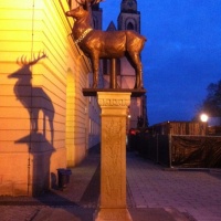 hirsch-bronze-skulptur-auf-dem-alten-markt-magdeburg