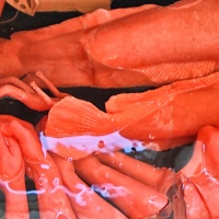 Wachsmodelle Peter Jaworskyj®