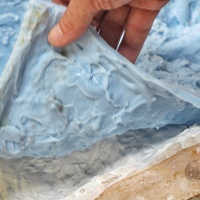 color_-®jaworskyj2017_