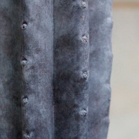 Patinierung grauer Kaktus